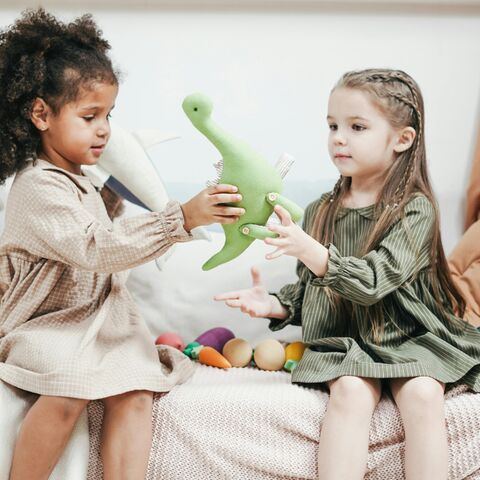 Illustratie bij: Tanja: ‘Ik schrok toen de leidster zei dat Sophie haar beste vriendin een flinke tik had gegeven’