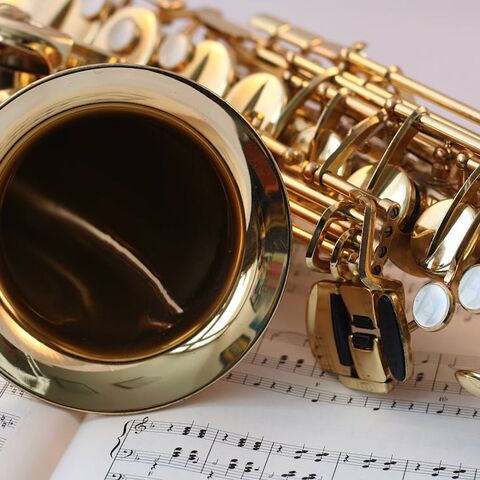 Illustratie bij: Welke soorten saxofoon bestaan er allemaal?