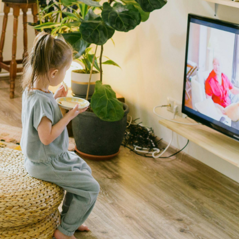 Illustratie bij: Vooruitkijken: programma’s eerder zien bij NLZIET