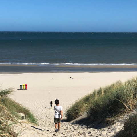 Illustratie bij: Lisa’s tips voor Vlieland met het gezin: ‘Wat mij betreft heeft Vlieland de mooiste stranden ter wereld’