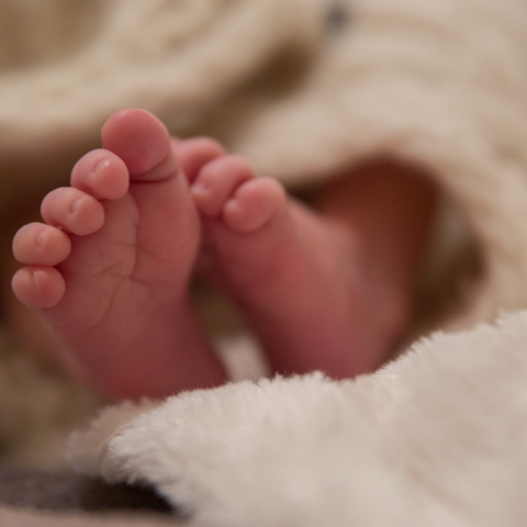 Illustratie bij: Brabants echtpaar koopt baby voor 390 euro: ‘Ik vond dat geen plek voor een baby’