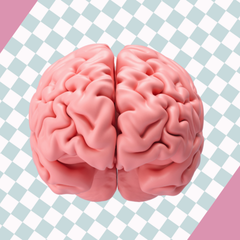 Illustratie bij: 5 onverwachte tekenen van hoogbegaafdheid bij kinderen, volgens een expert