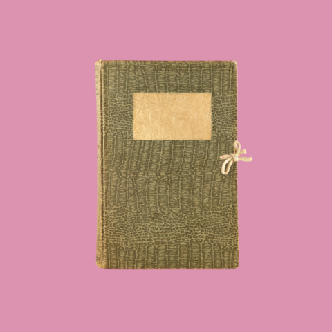 Illustratie bij: Opgebiecht: ‘Ik besloot in haar dagboek te gluren en schrok van wat ik las’