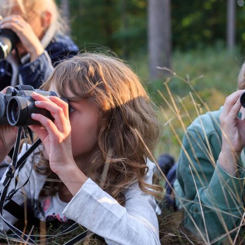 Illustratie bij: Samen op safari! Deze 5 natuur- en dierenuitjes zijn leuk voor het hele gezin