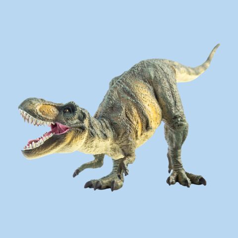 Illustratie bij: Dino Experience Park: beleef het leukste uitje voor dino-fans nu met korting
