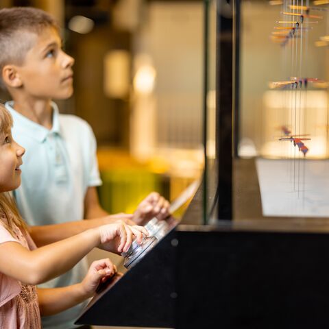 Illustratie bij: Dit zijn de leukste indoor kinderuitjes bij slecht weer