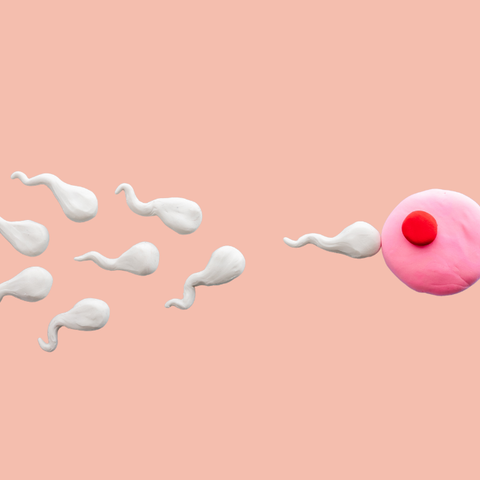 Illustratie bij: Ook mannen hebben een biologische klok: ‘Hoe ouder, hoe groter het risico op afwijkingen’