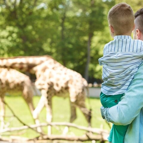 Illustratie bij: Dierenpark Blanckendaell: zoo, museum én speeltuin ineen (nu met korting!)