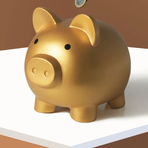 Illustratie bij: De bankrekening van Floor: ‘Ik denk alleen maar: hoe gaan we het deze maand redden?’