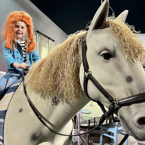 Illustratie bij: Dit is waarom Zweden de vakantie is waar je kinderen (en jij) niet meer van terug willen