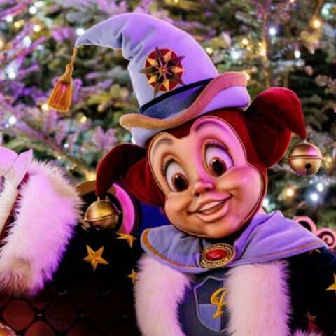 Illustratie bij: Dit wil je niet missen: zo betoverend is de Winter Efteling