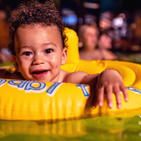 Illustratie bij: Botsauto’s, piranha’s en onbeperkt taart: Preston Palace heeft het allemaal