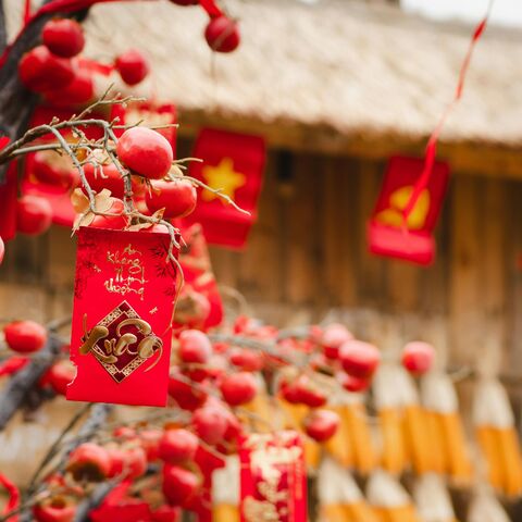 Chinees nieuwjaar vuurpaard