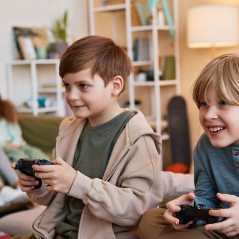 gamegedrag