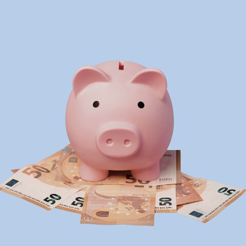Illustratie bij: Financiële klapper? Dit is wat de familie Jelies en Gnodde verdienen met hun programma