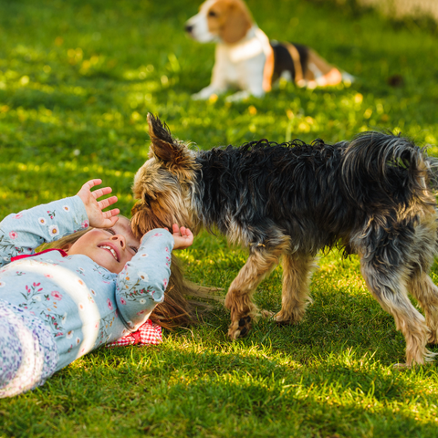 Illustratie bij: Waarom opgroeien met een hond zo waardevol kan zijn: ‘Ze vertelt de hond dingen die ze ons niet vertelt’