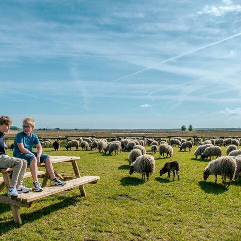 Illustratie bij: De perfecte spot voor een minivakantie in eigen land