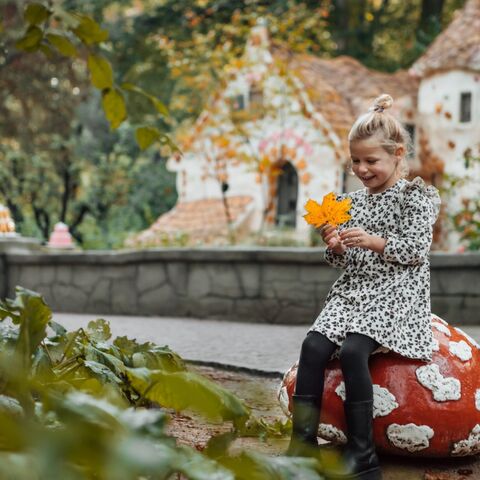 Illustratie bij: Herfstplezier in Noord-Brabant: De ultieme gids voor gezinsuitjes