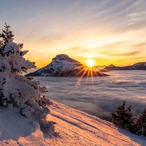 Illustratie bij: Droom je van sneeuw? Dit is de perfecte winterbestemming voor het hele gezin