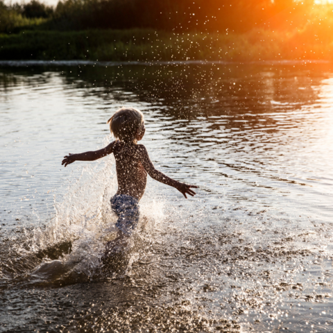 Illustratie bij: 19x fijne meren en plassen in Nederland