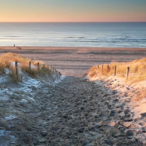 Illustratie bij: Plof maar neer: deze strandtenten zijn het hele jaar open