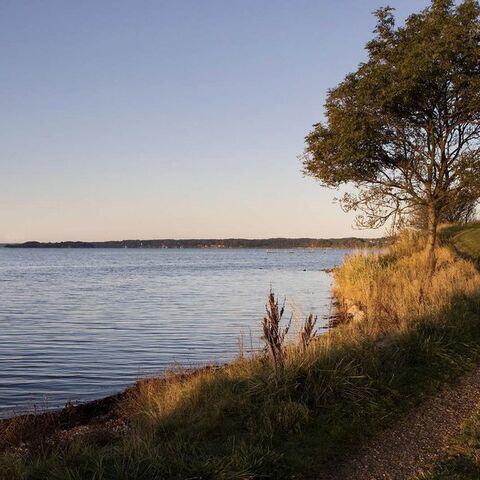 Illustratie bij: Dit kun je tijdens de herfstvakantie doen in Zuid-Denemarken met kinderen