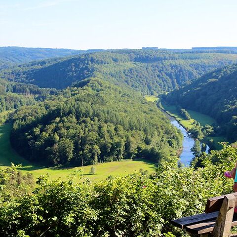 Illustratie bij: De Ardennen: dit zijn de leukste uitjes met kinderen