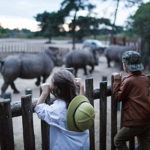 Illustratie bij: Erop uit tip: Safari in Brabant