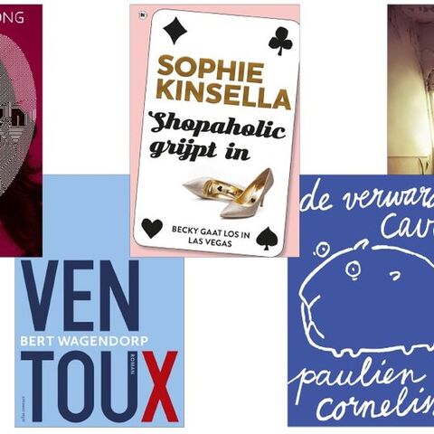 Illustratie bij: 5x de favoriete zomerboeken van de redactie