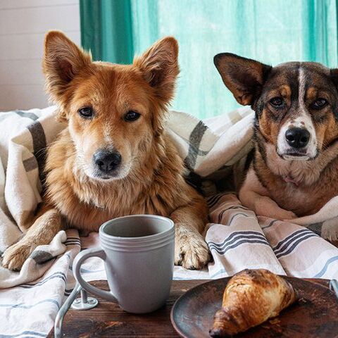 Illustratie bij: Even lachen: deze foto’s laten zien wat het ouderschap met je doet