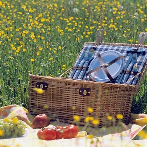 Illustratie bij: 3 frisse salades voor bij je picknick