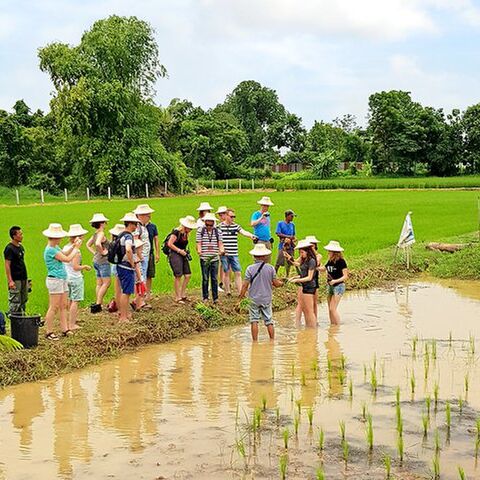 Illustratie bij: Voor als het weer kan: met je gezin op vakantie naar Thailand