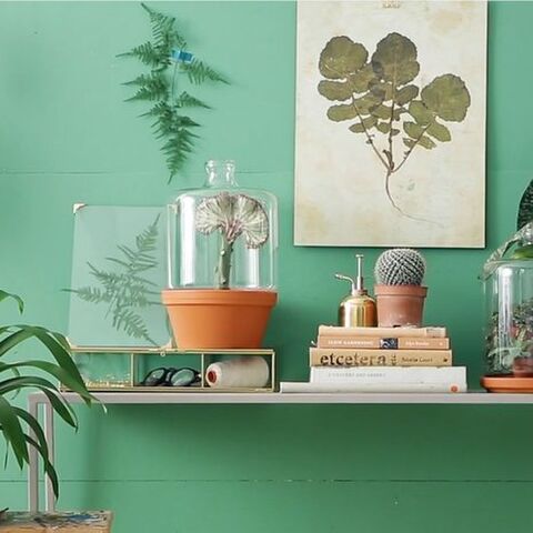 Illustratie bij: VIDEO: Een botanische wand in je huis