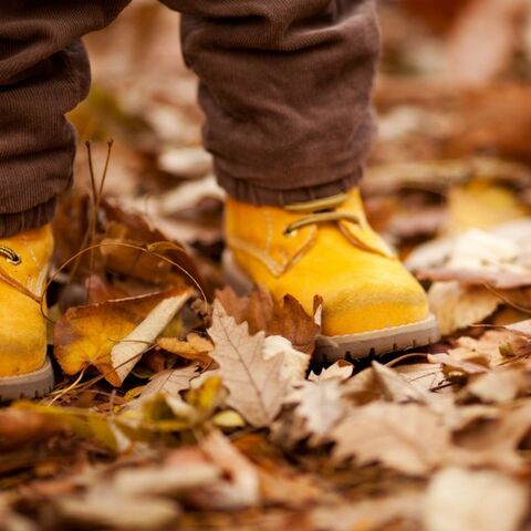 Illustratie bij: Stampen maar in die plassen: de leukste jongensschoenen voor deze herfst