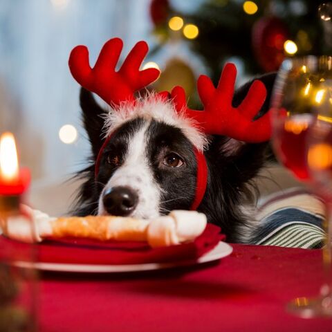 Illustratie bij: Onderzoek: 77% van de ouders betrekt kind bij bereiding kerstdiner