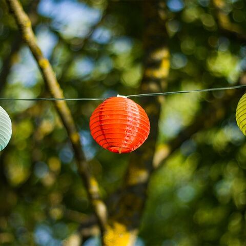 Illustratie bij: Van lichtslinger tot tafellamp: de leukste tips om je tuin meer sfeer te geven