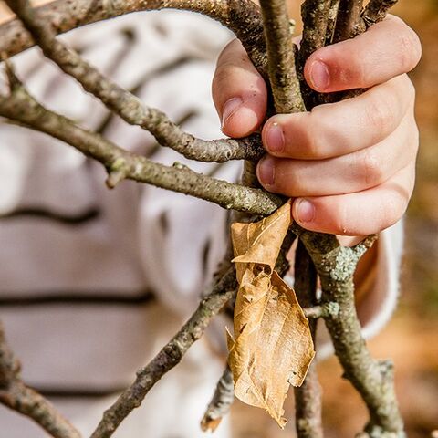 Illustratie bij: 5x leuke spelletjes in de natuur