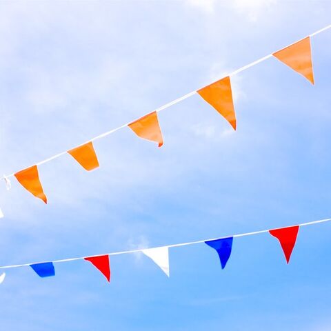 Illustratie bij: Hup, Holland, hup: de leukste Oranje-knutsels om samen met je kind te maken