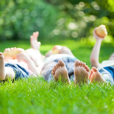 Illustratie bij: Van picknicken tot waterfietsen: 19x kindvriendelijke parken