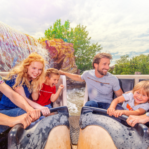 Illustratie bij: Bestel híer tickets voor Attractiepark Toverland met fijne korting