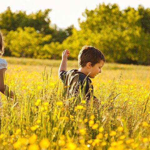 Illustratie bij: 5 x de leukste uitjes in de natuur