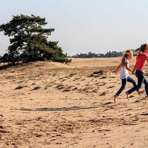 Illustratie bij: Déze leuke dingen kun je met je gezin doen op de Veluwe