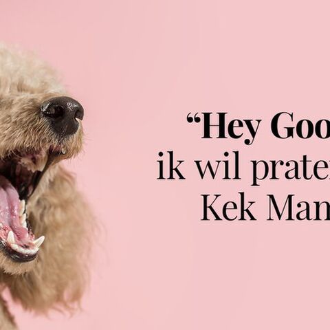 Illustratie bij: Nieuw: praat met Kek Mama via je Google Assistent