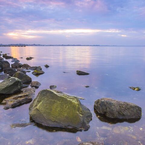 Illustratie bij: 5x fijne wandelroutes in Zeeland