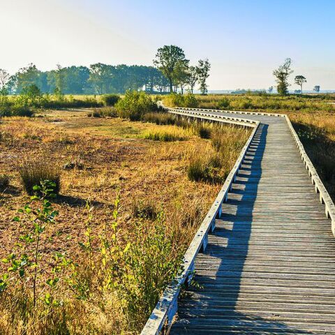 Illustratie bij: Dít zijn de leukste wandelroutes in Drenthe