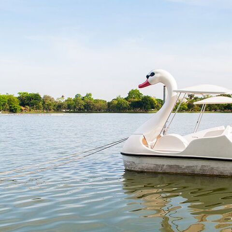 Illustratie bij: 7x de leukste plekken om te waterfietsen met kinderen