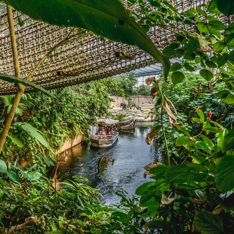 Illustratie bij: Spectaculair: in dit bijzondere park staat je kind oog in oog met wilde dieren