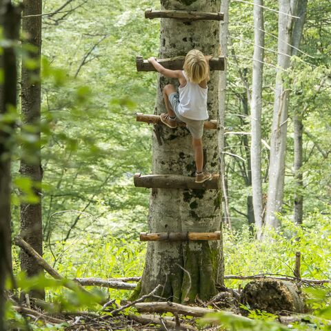 Illustratie bij: 7x de leukste klimbossen om dit weekend te bezoeken