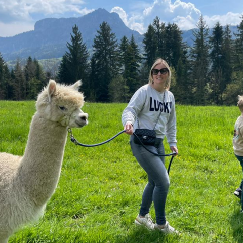 Illustratie bij: Pittoreske dorpen en schitterende natuur: OberÖsterreich is dé plek voor een gezinsvakantie