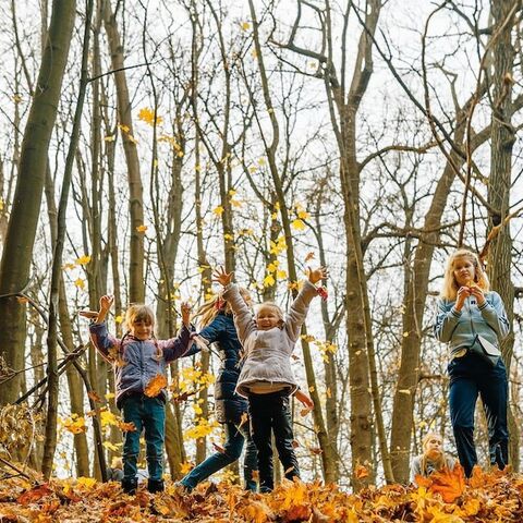 Illustratie bij: DIY: de leukste herfstknutsels voor jou en je kind (én nog groen ook)